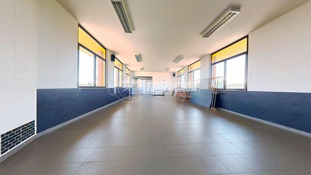 immagine annuncio 10 di 13