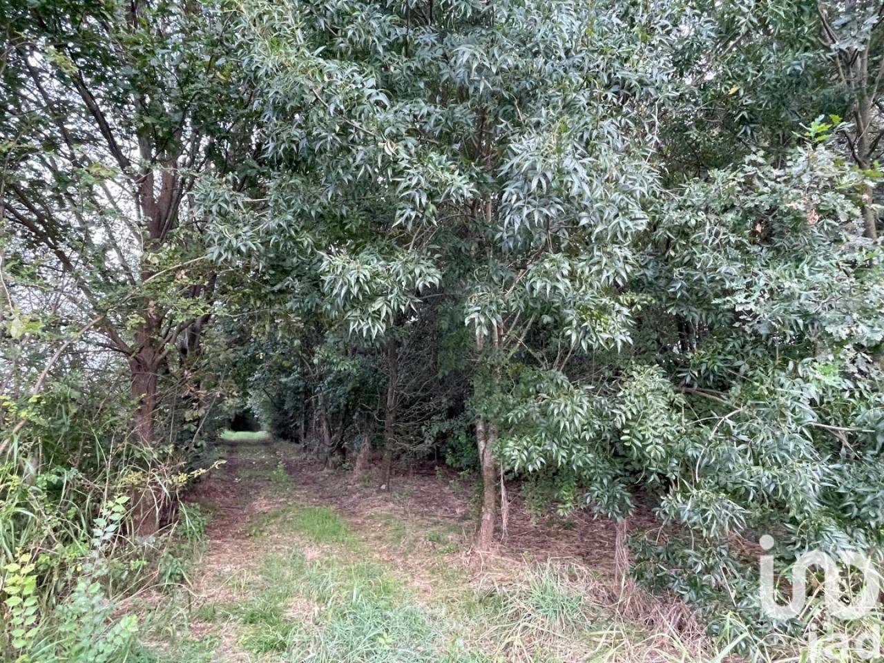 immagine annuncio 1 di 11