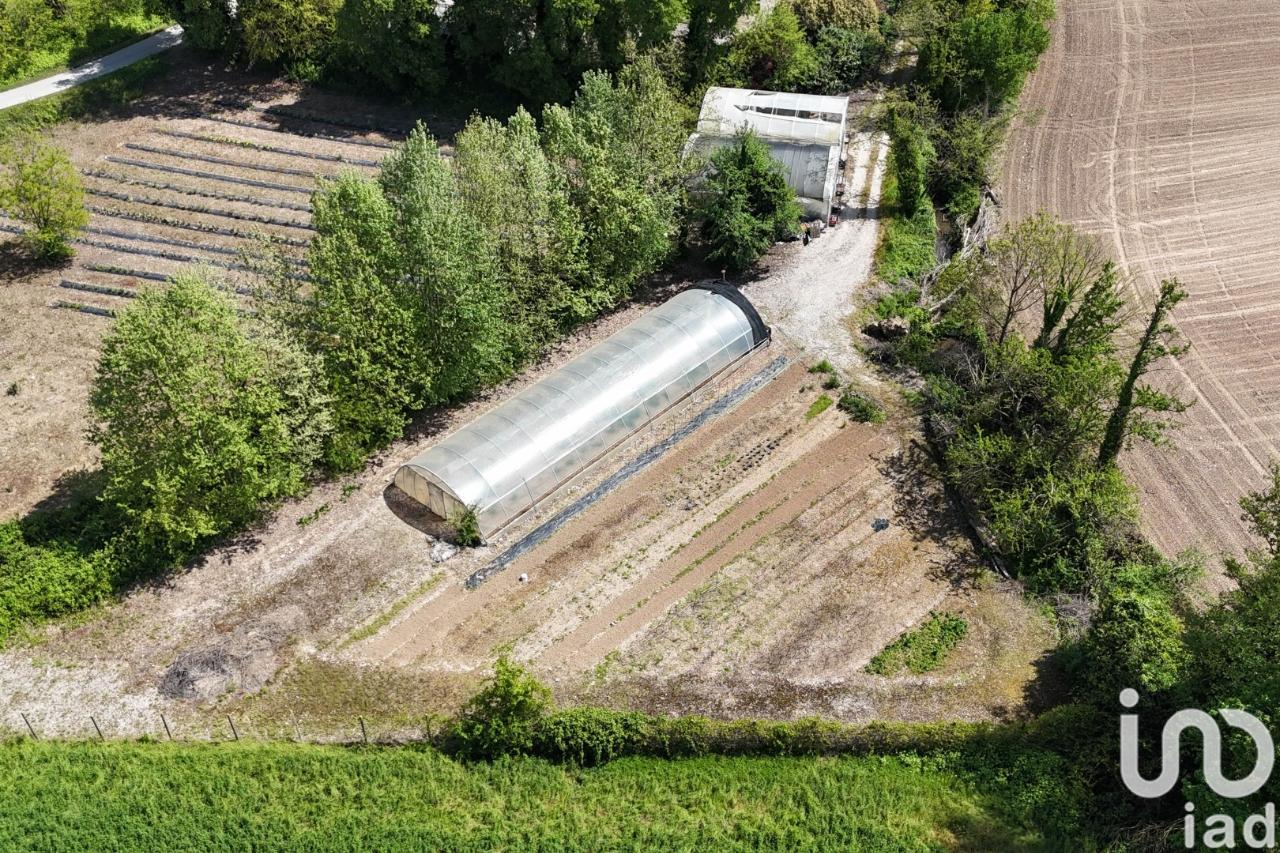 immagine annuncio 4 di 10