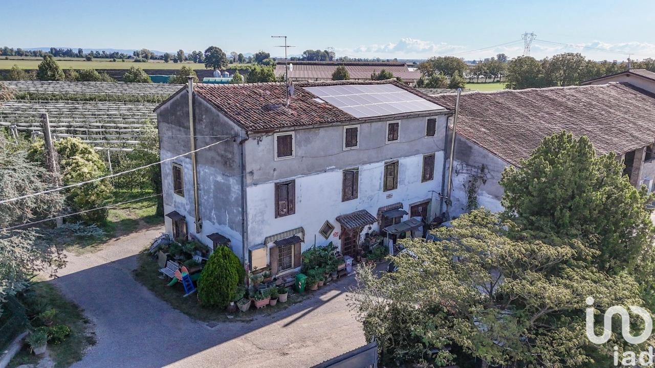 immagine annuncio 1 di 14