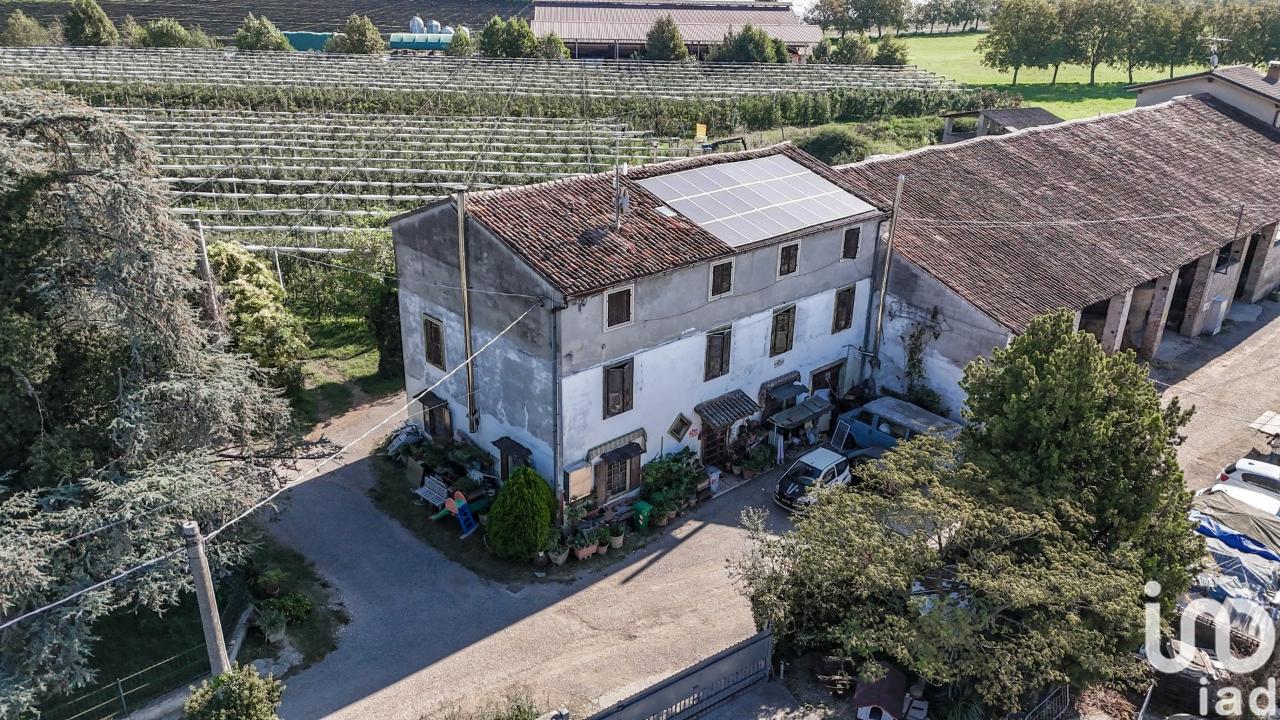 immagine annuncio 3 di 14