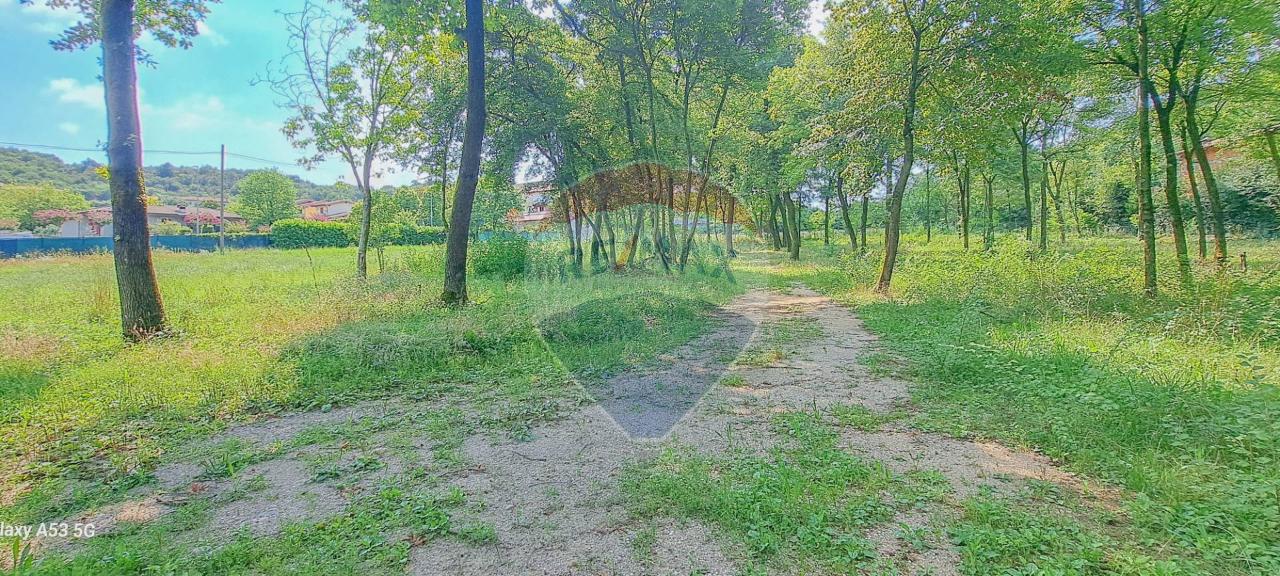 immagine annuncio 4 di 9