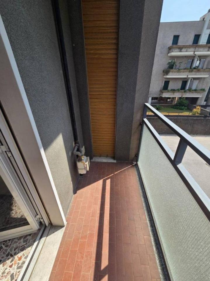 immagine annuncio 11 di 14