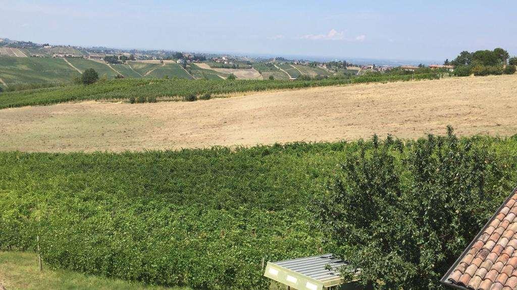 Terreno agricolo in vendita a Ziano Piacentino