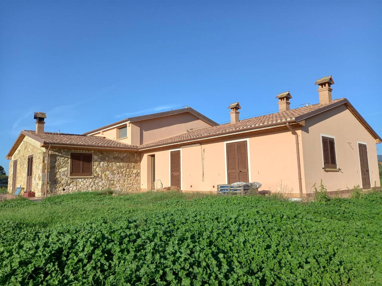 Azienda agricola in , Rosignano Marittimo, {3} - Foto 1