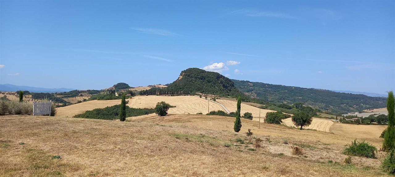 Azienda agricola in , Volterra, {3} - Foto 1