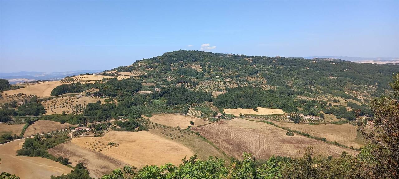 Azienda agricola in , Volterra, {3} - Foto 2