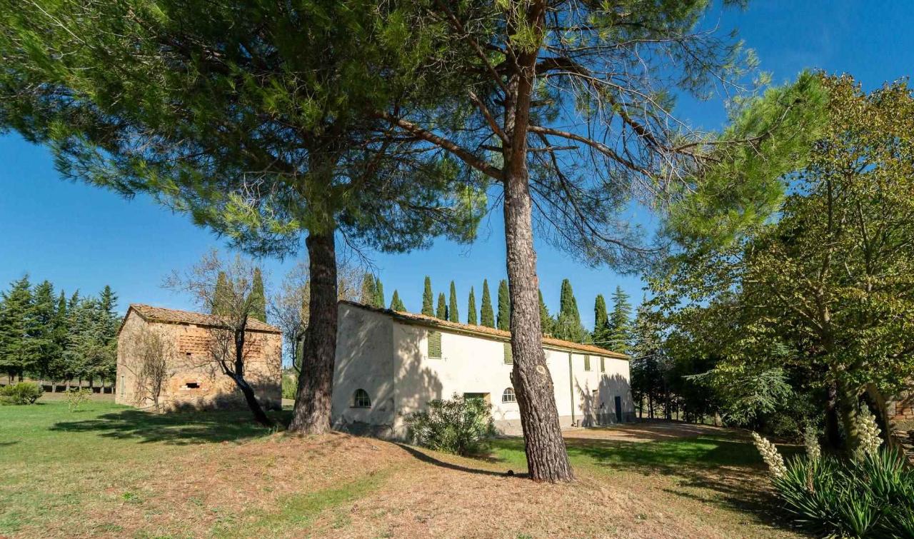 Azienda agricola in , Pomarance, {3} - Foto 1