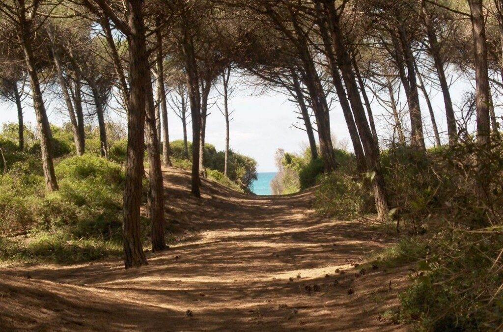 immagine annuncio 7 di 8