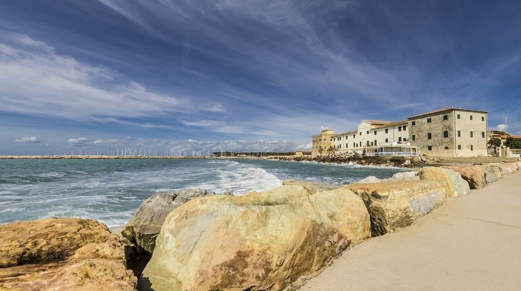 immagine annuncio 5 di 8