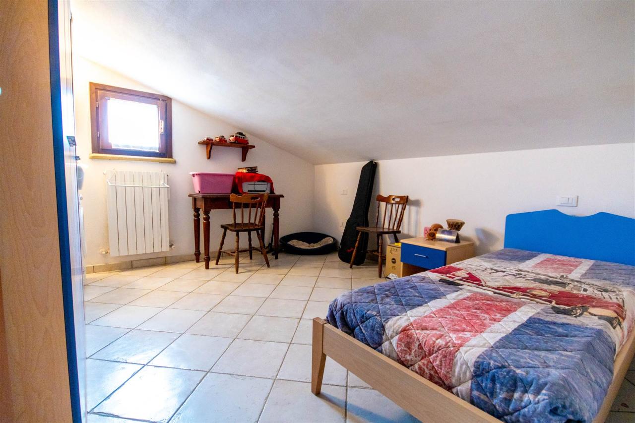 immagine annuncio 11 di 13