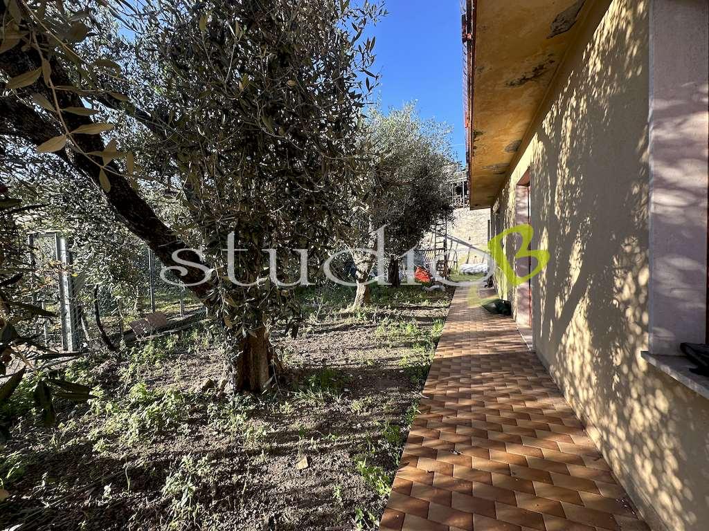 immagine annuncio 10 di 14