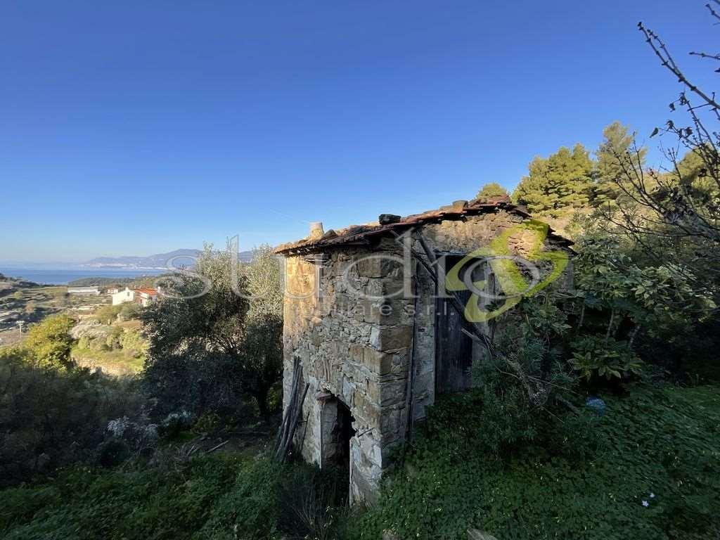 immagine annuncio 1 di 13