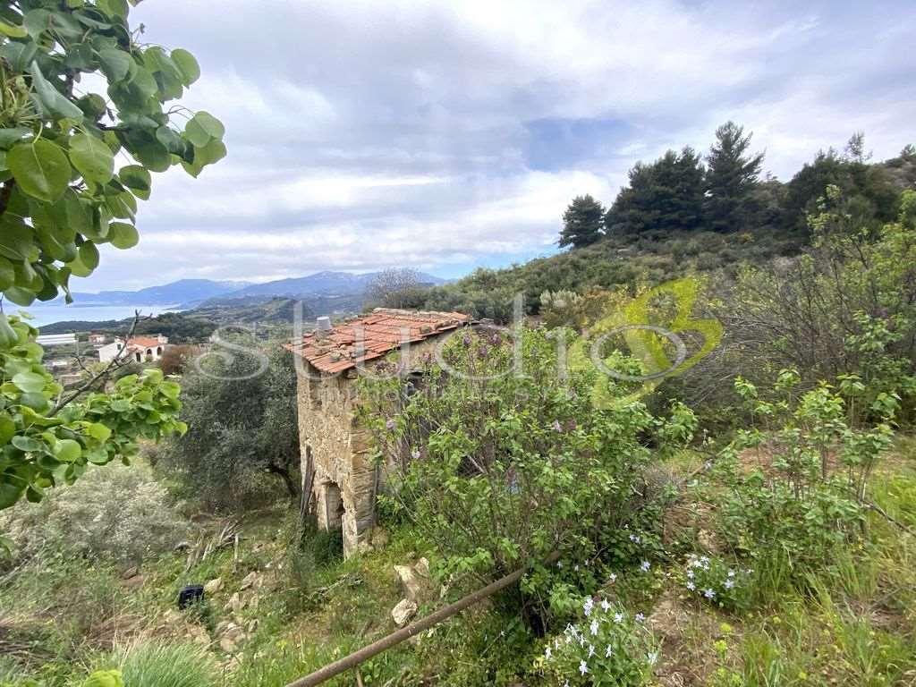 immagine annuncio 3 di 13