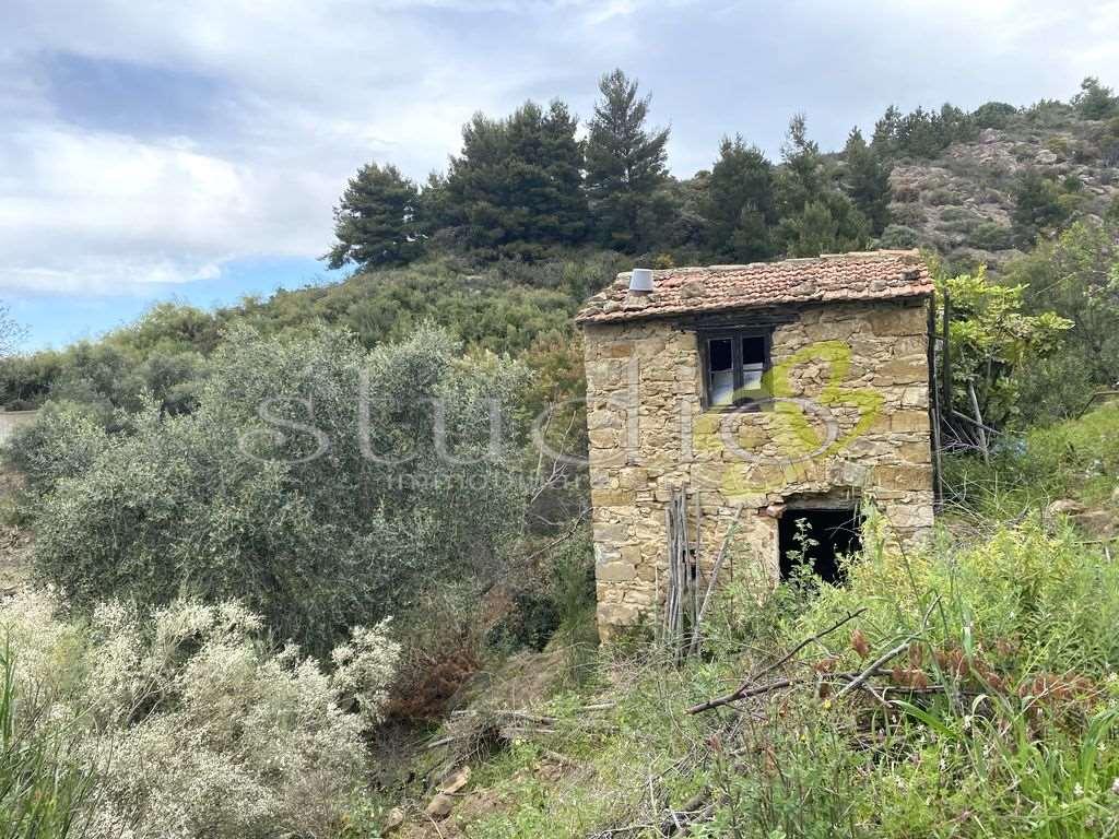 immagine annuncio 9 di 13
