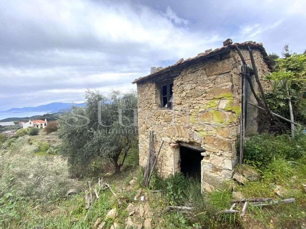 immagine annuncio 4 di 13