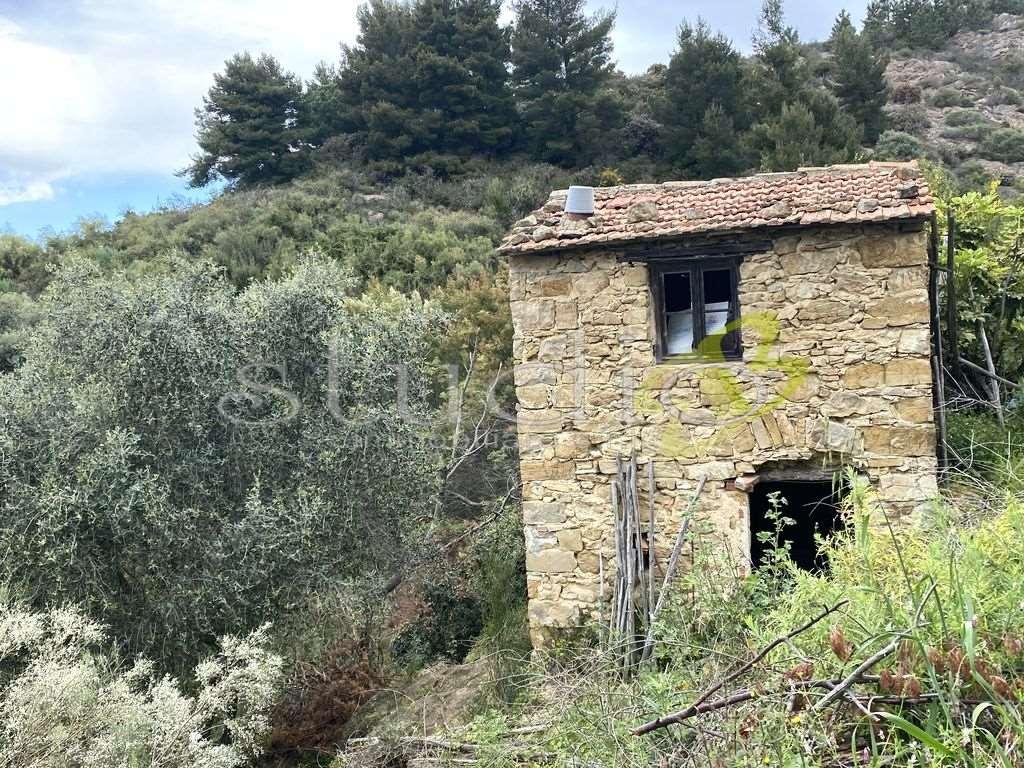 immagine annuncio 7 di 13