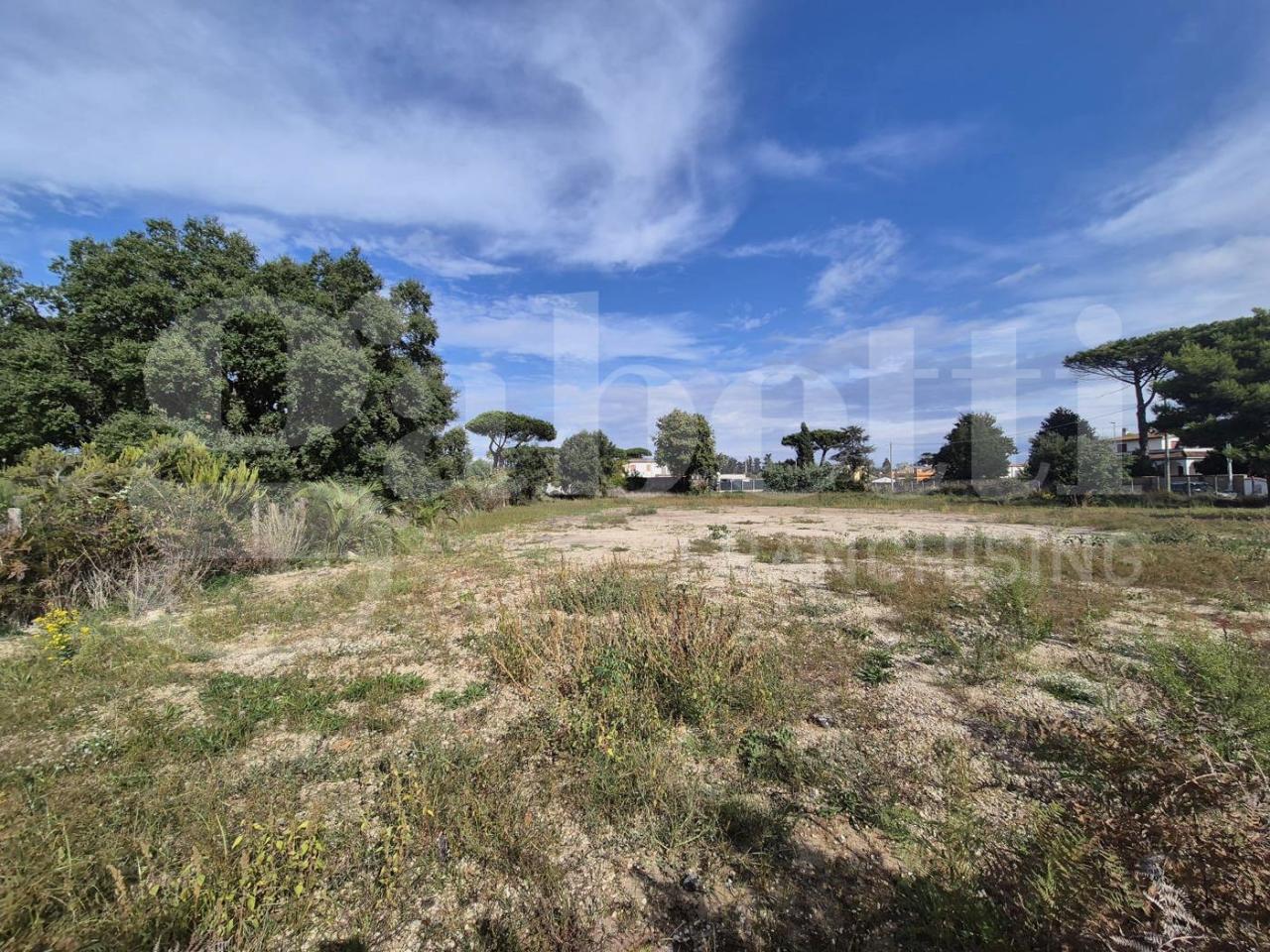 immagine annuncio 4 di 6