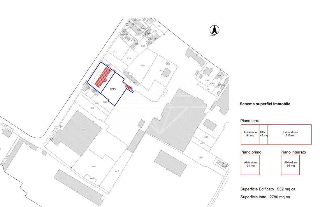 immagine annuncio 10 di 12