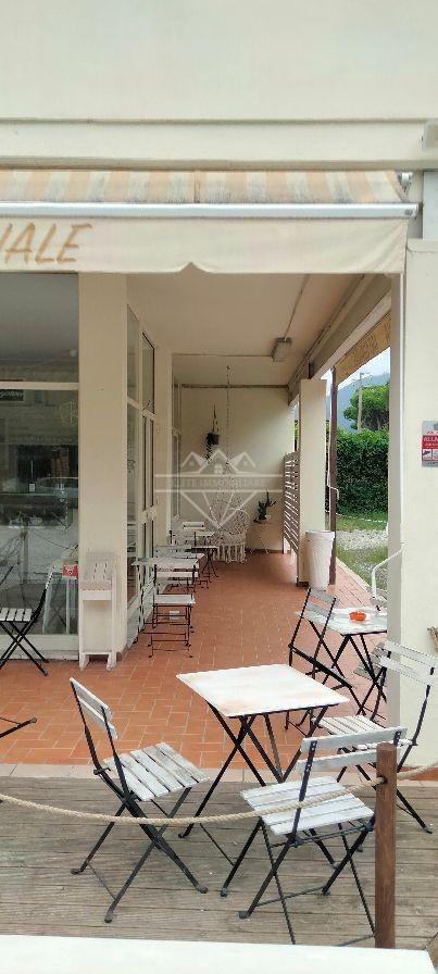 immagine annuncio 4 di 14