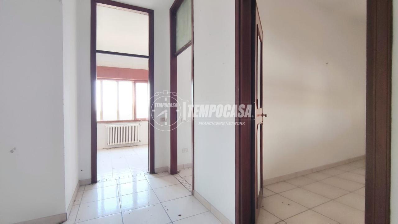 immagine annuncio 3 di 14