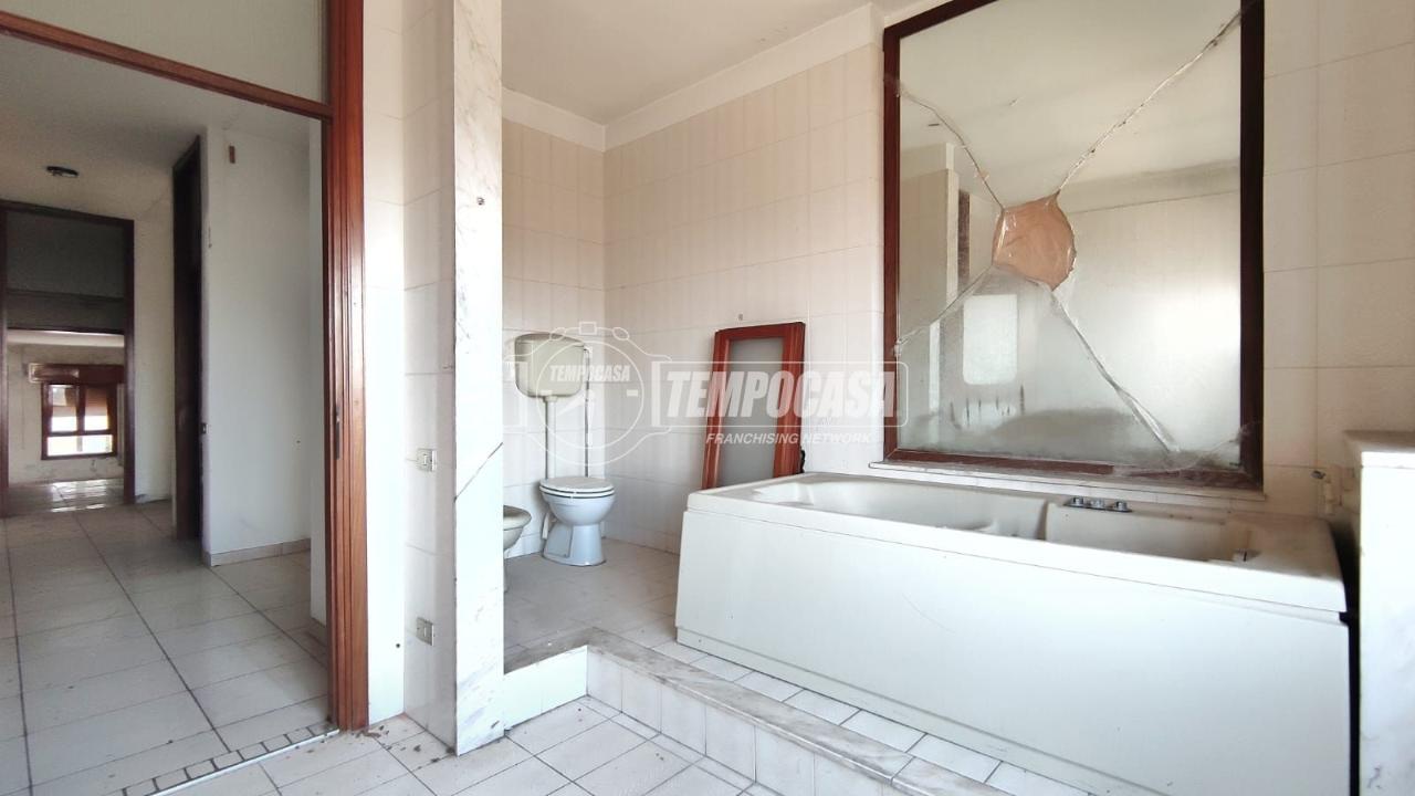 immagine annuncio 8 di 14