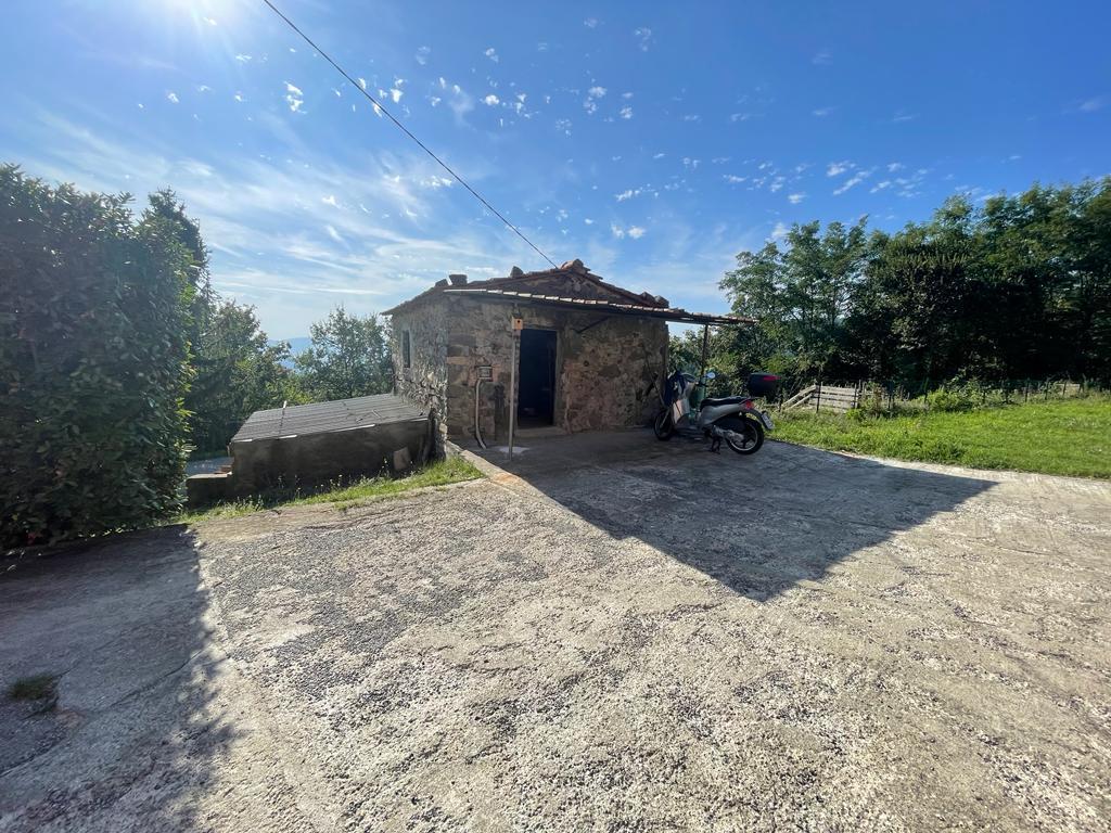 immagine annuncio 3 di 14
