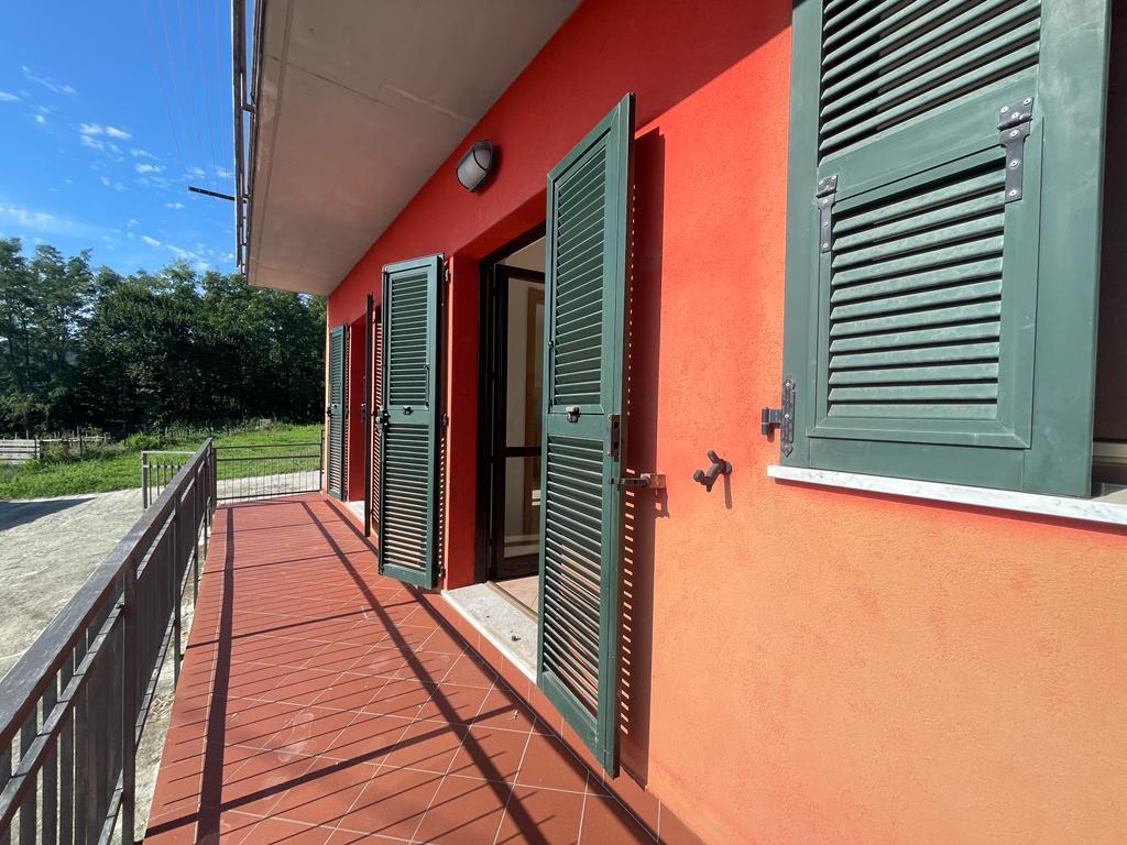 immagine annuncio 2 di 14