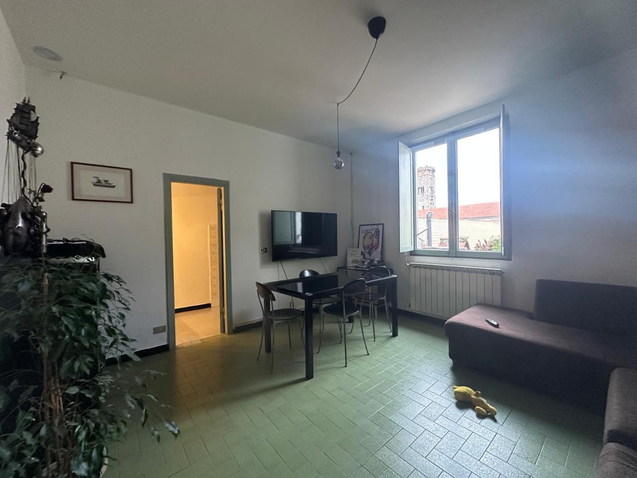 immagine annuncio 3 di 12