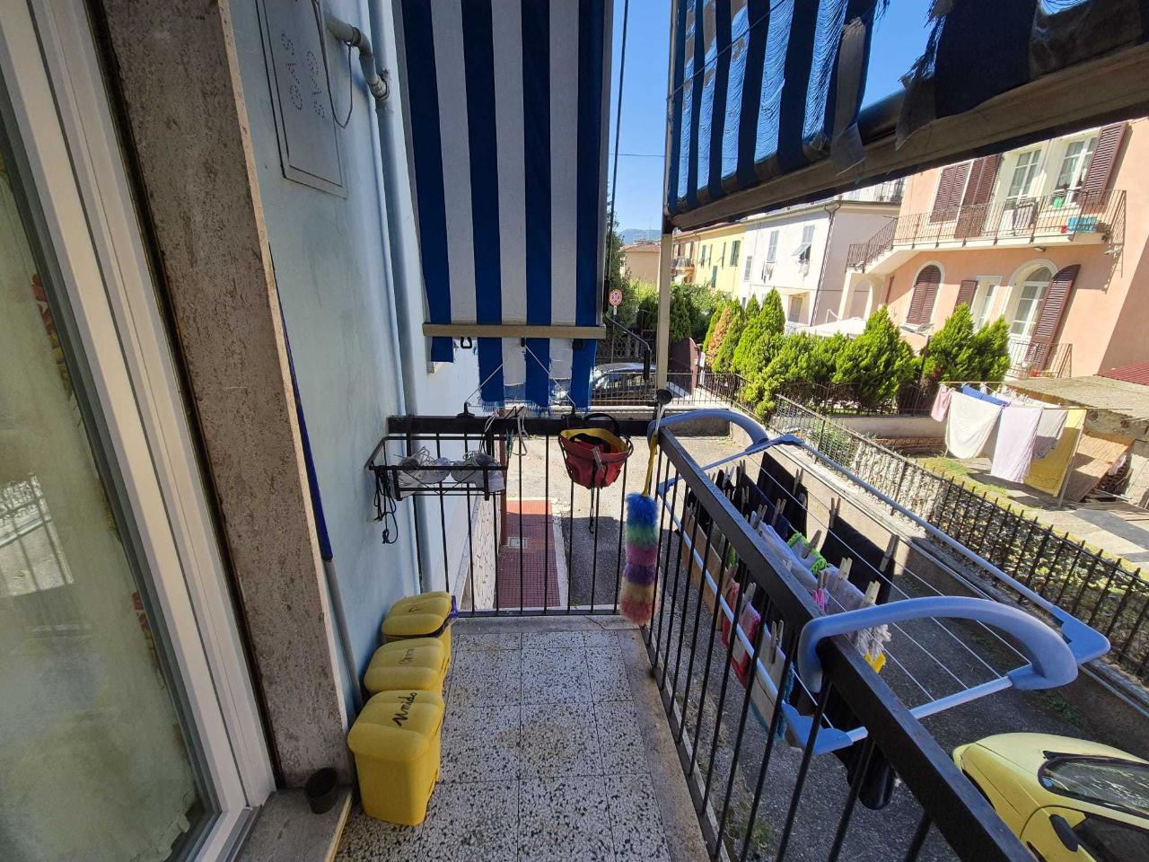 immagine annuncio 11 di 14