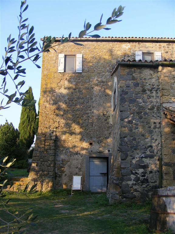 Azienda agricola in , Bagnoregio, {3} - Foto 2