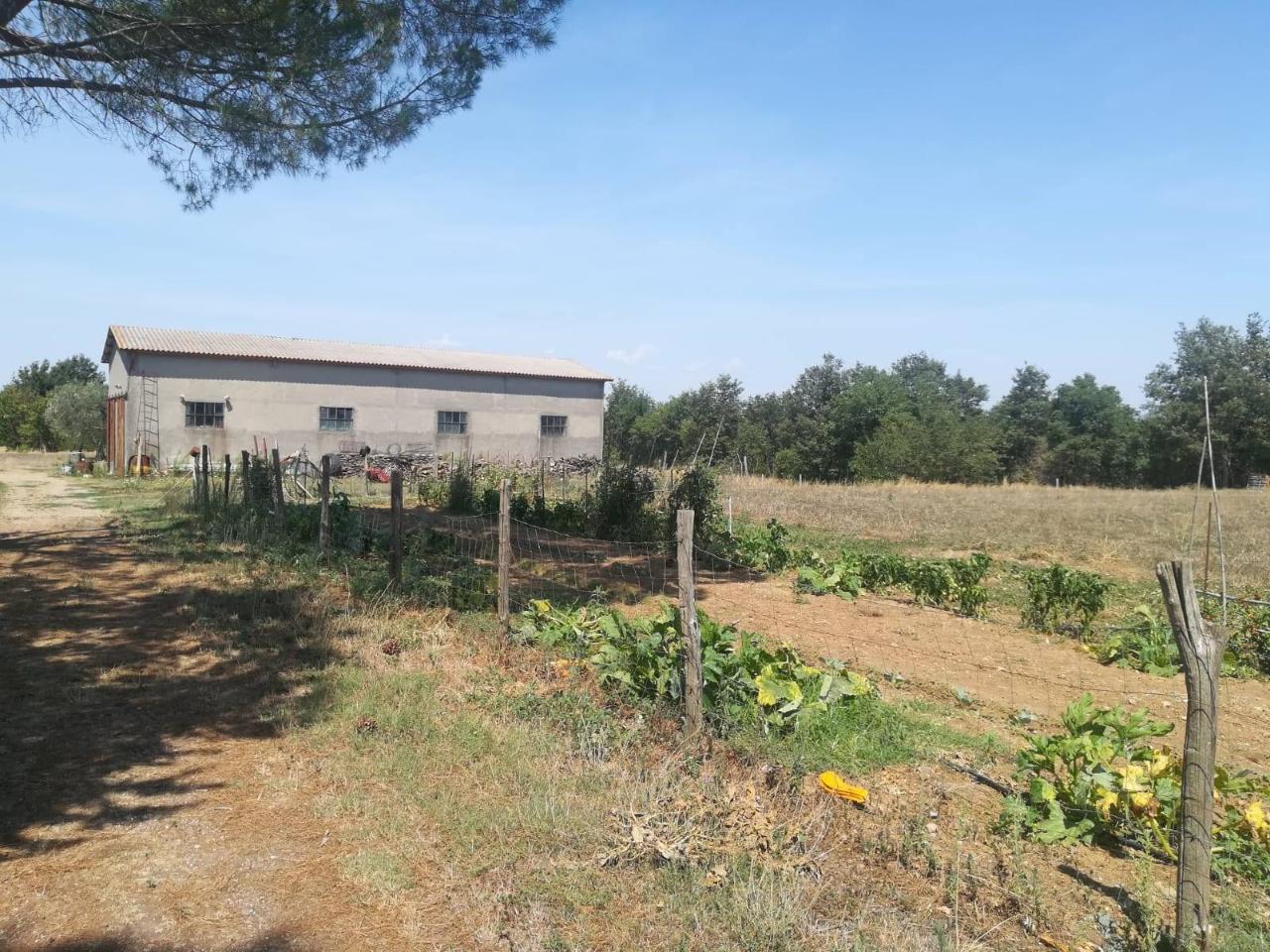 Azienda agricola in Pian di Morrano, Pitigliano, {3} - Foto 1