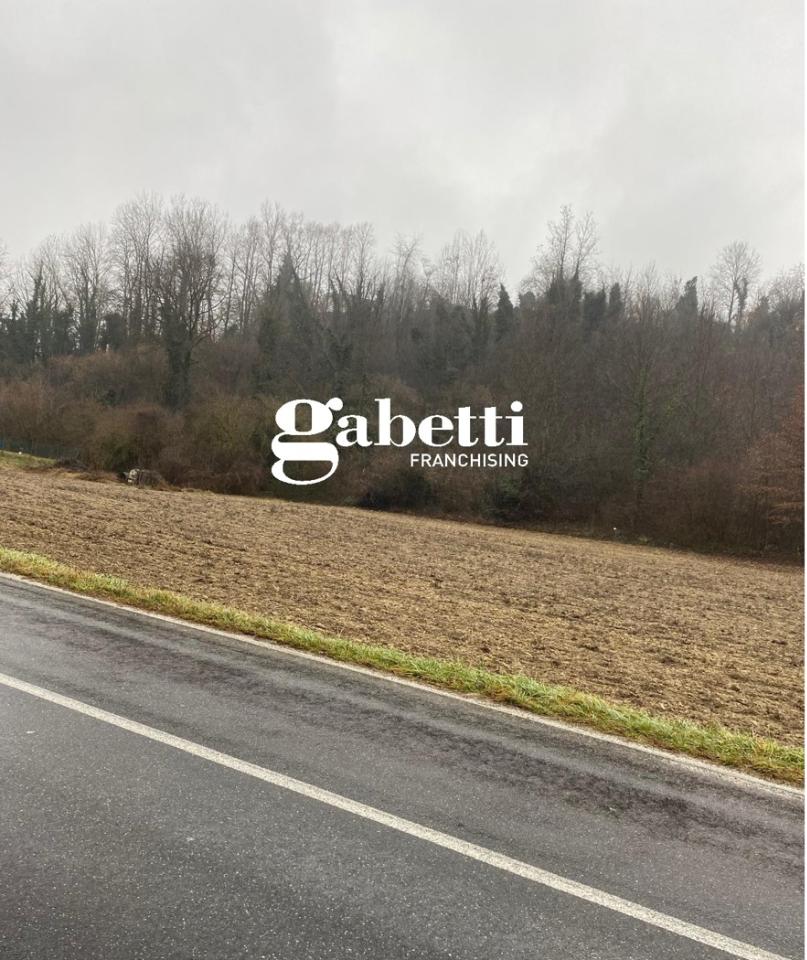 immagine annuncio 6 di 12