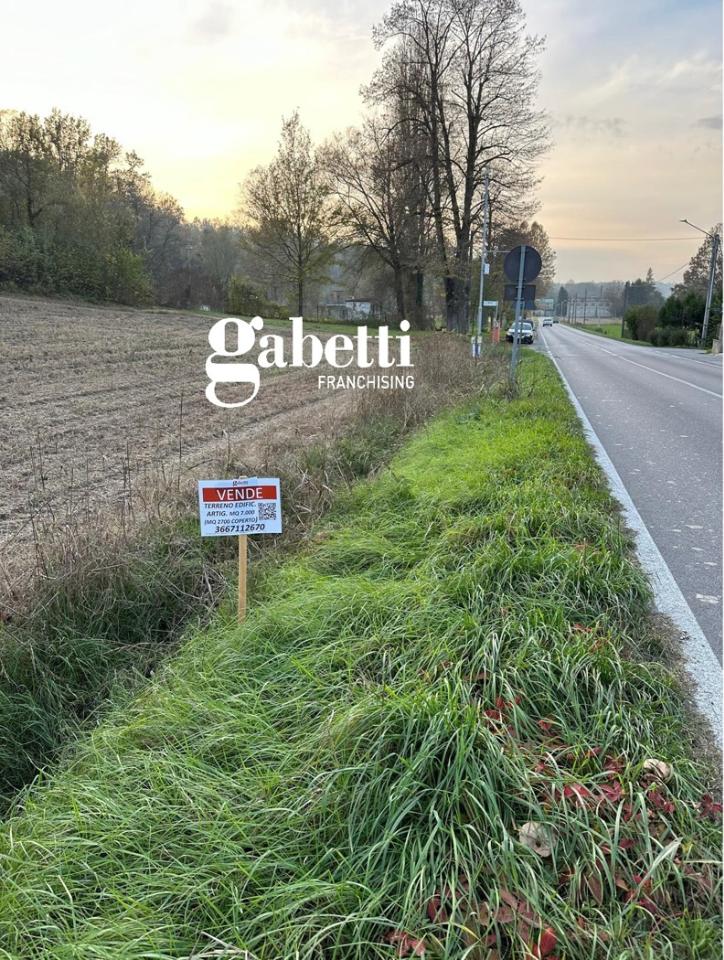 immagine annuncio 2 di 12