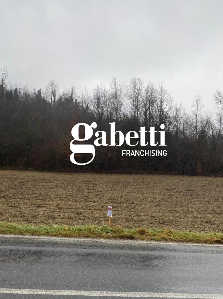 immagine annuncio 9 di 12