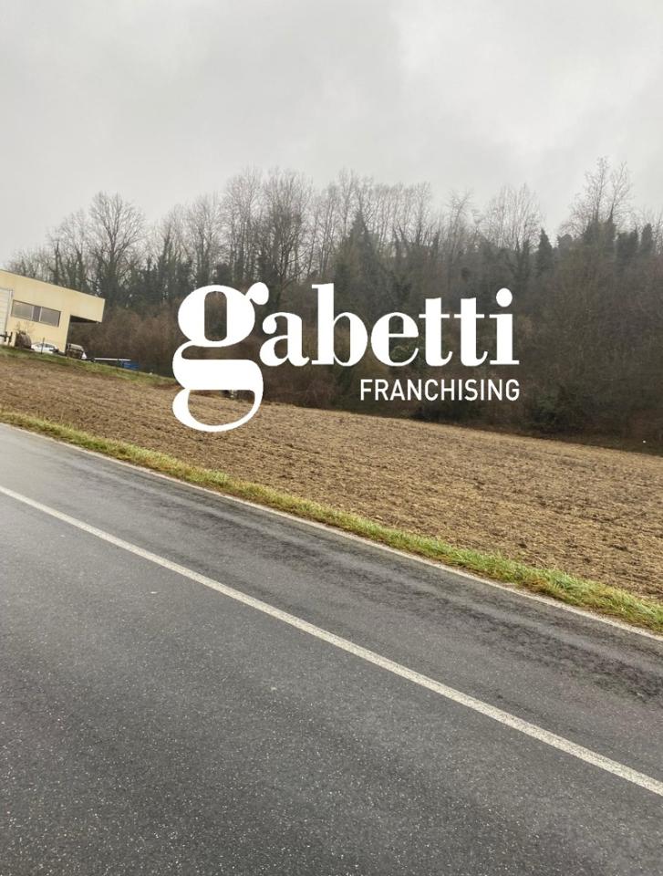 immagine annuncio 5 di 12