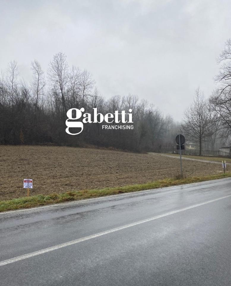 immagine annuncio 11 di 12