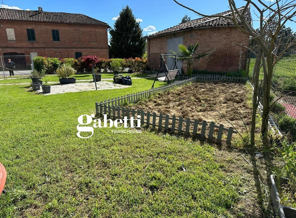 immagine annuncio 11 di 15