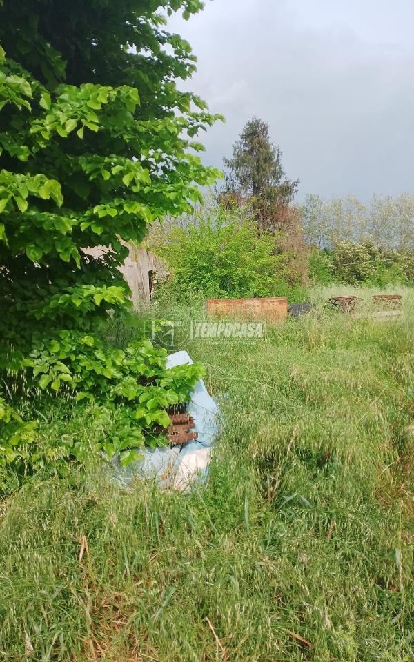 immagine annuncio 4 di 7