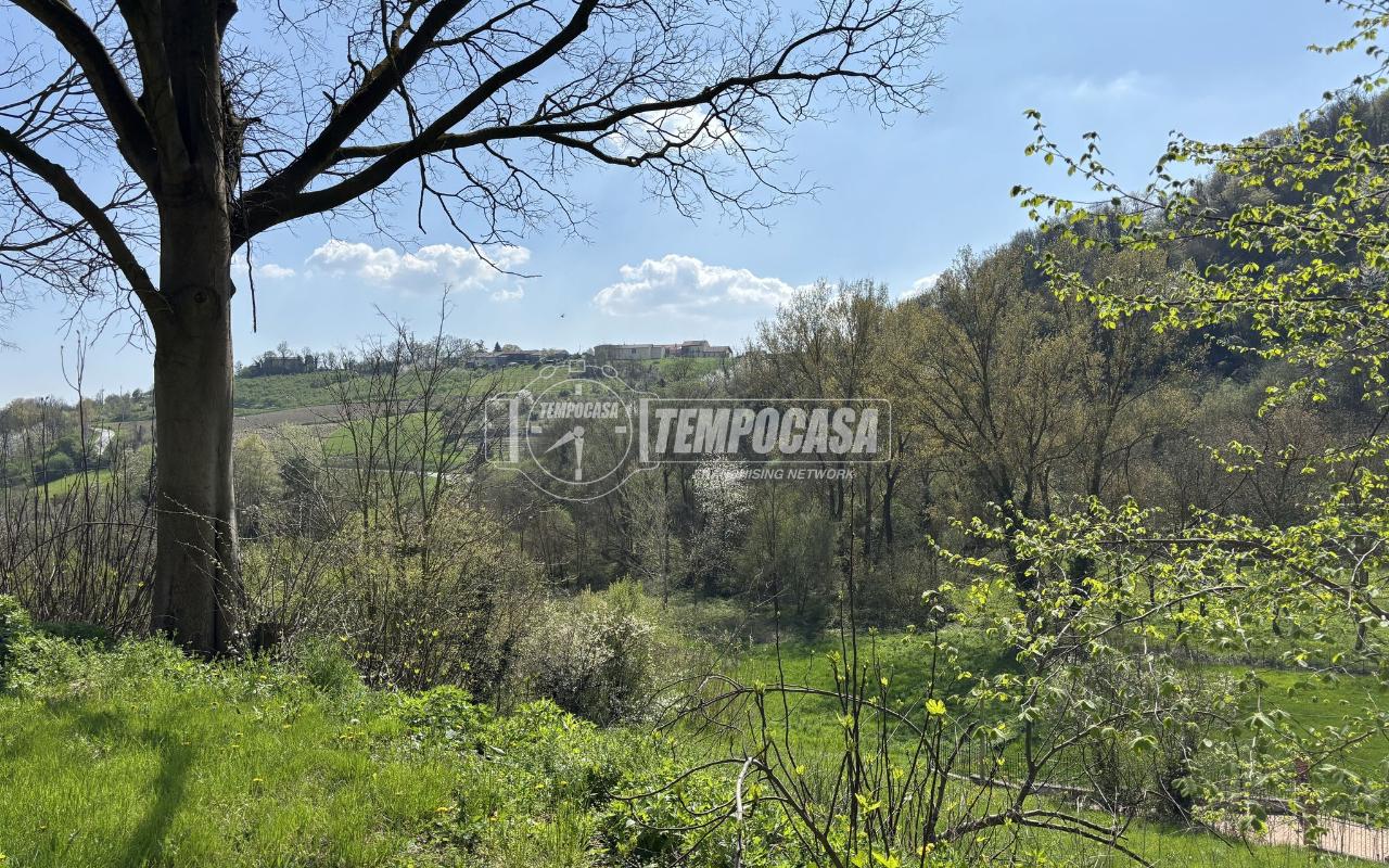 immagine annuncio 9 di 14