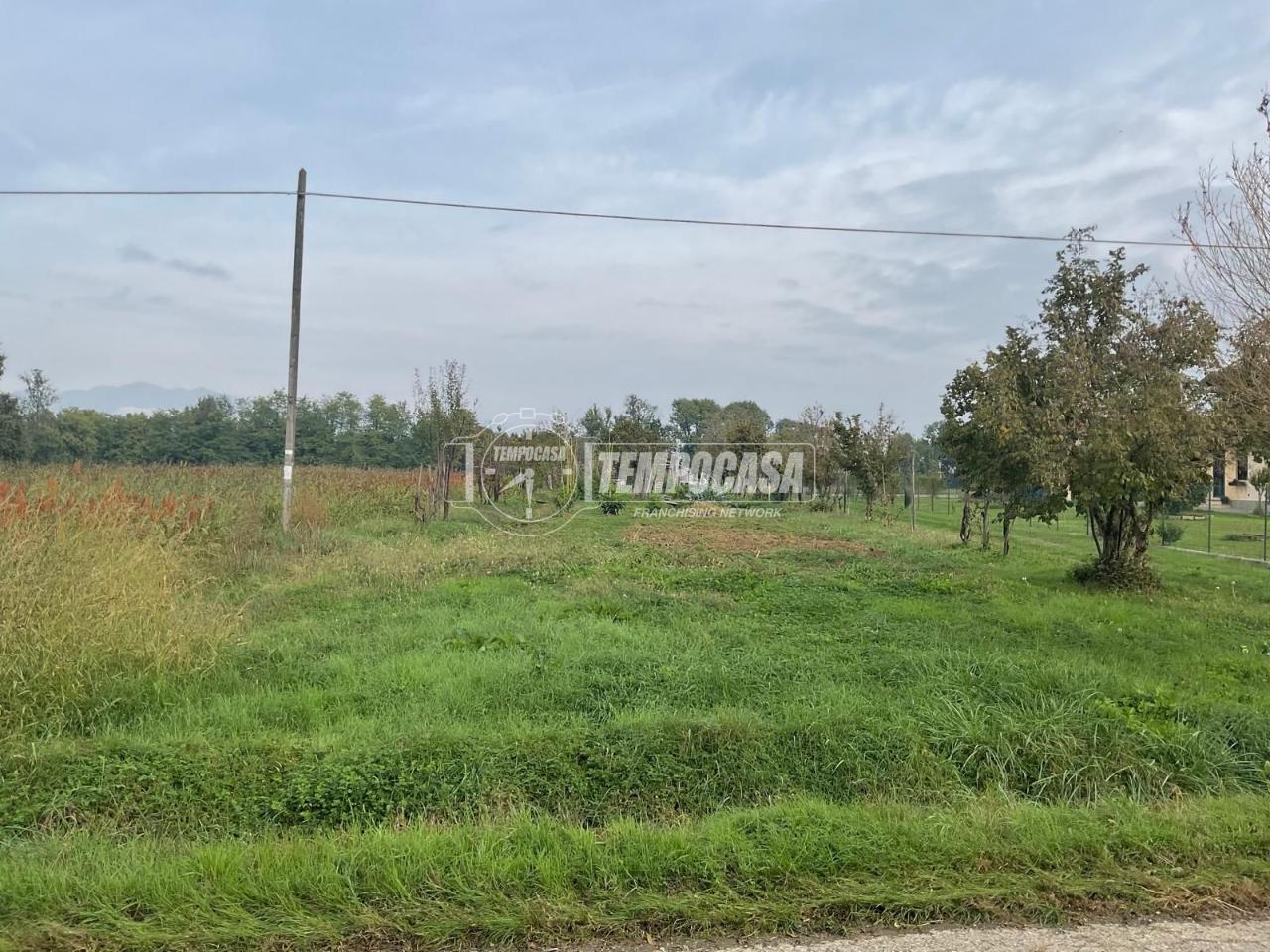 immagine annuncio 6 di 11