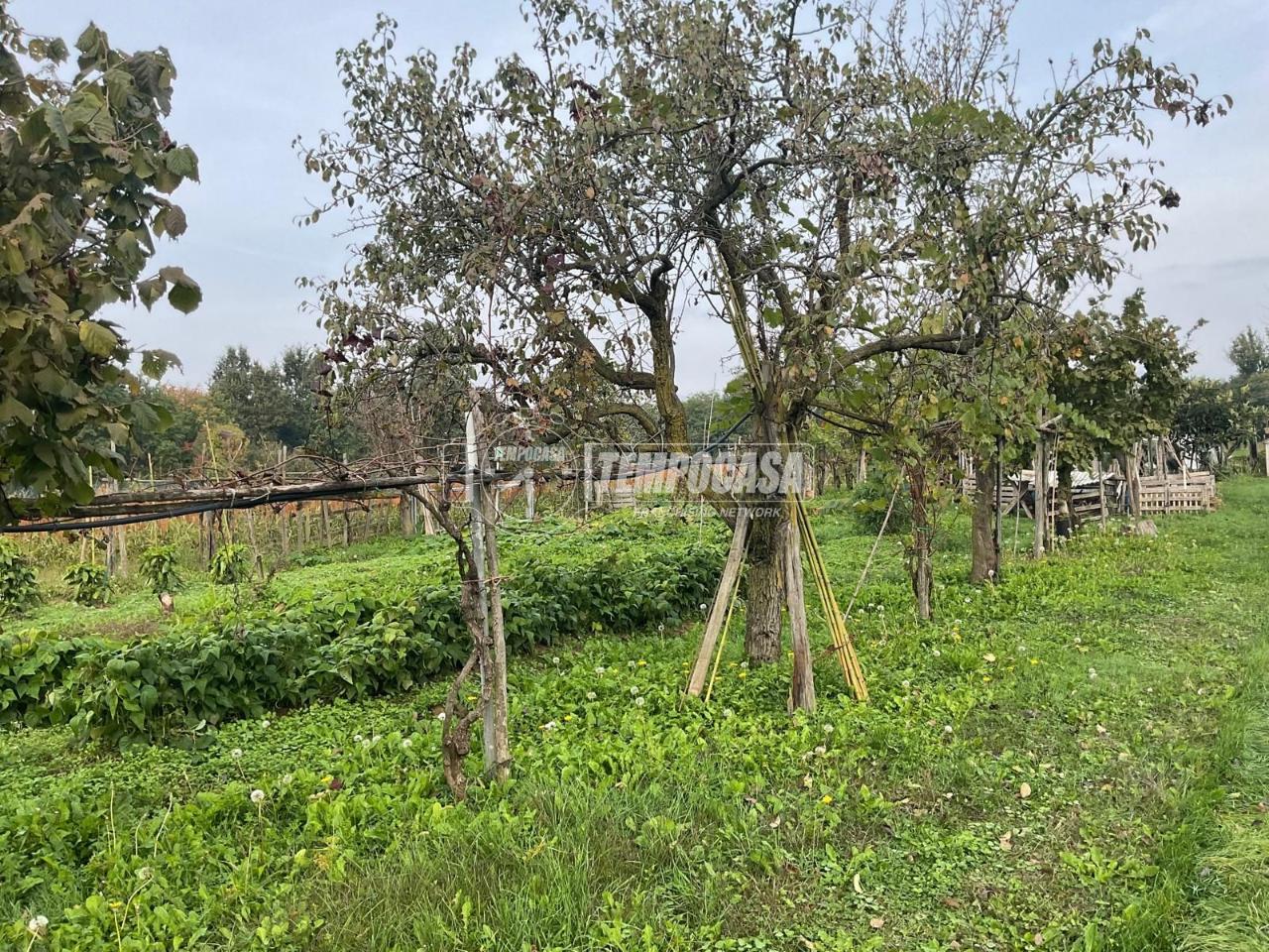immagine annuncio 3 di 11