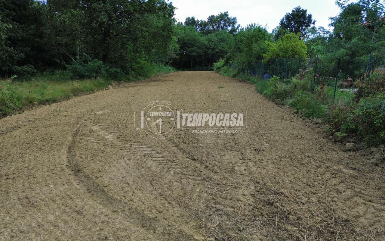 immagine annuncio 7 di 13