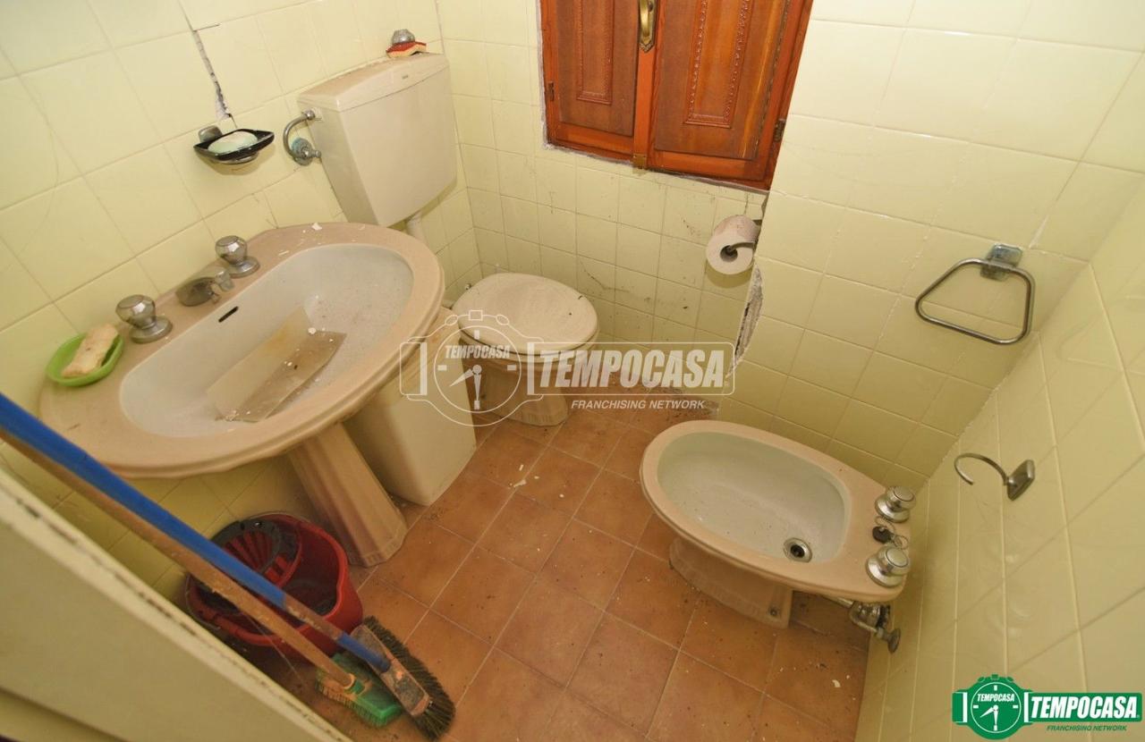 immagine annuncio 9 di 12