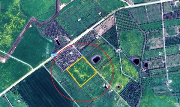 insertion image