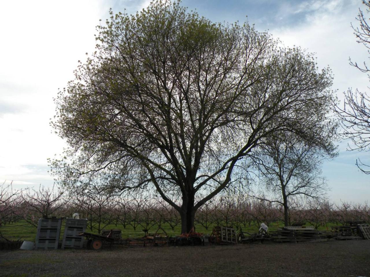 immagine annuncio 6 di 7