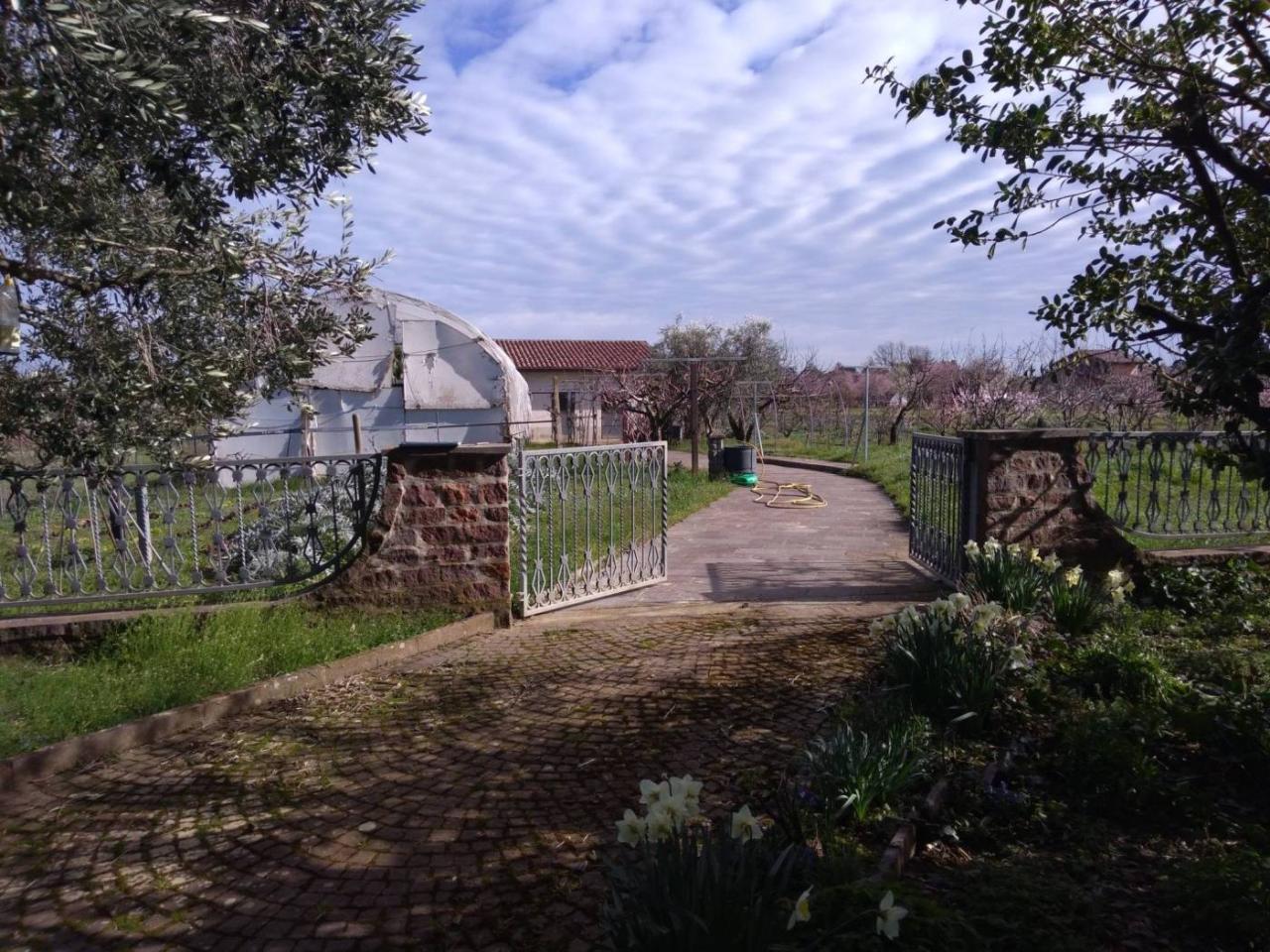 immagine annuncio 5 di 12