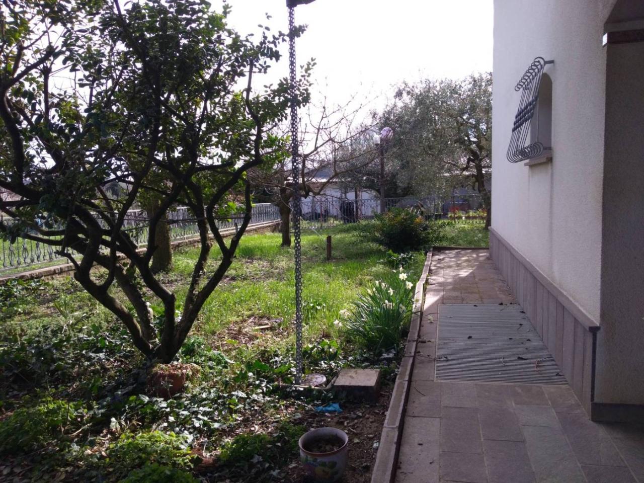 immagine annuncio 6 di 12