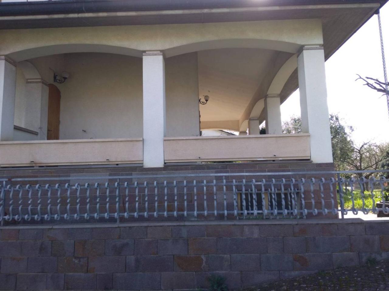 immagine annuncio 2 di 12