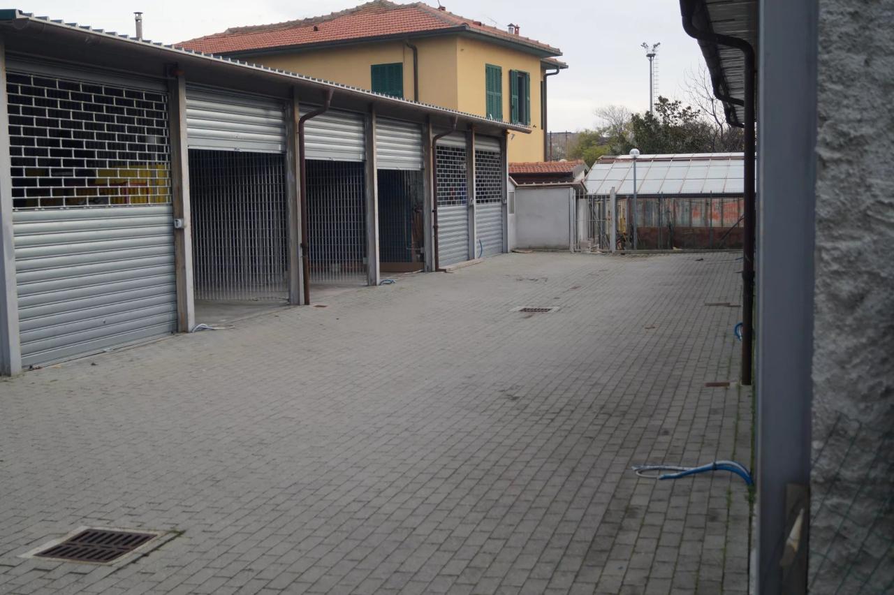 immagine annuncio 8 di 12